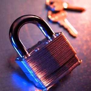 Limited-Access Fire & Security