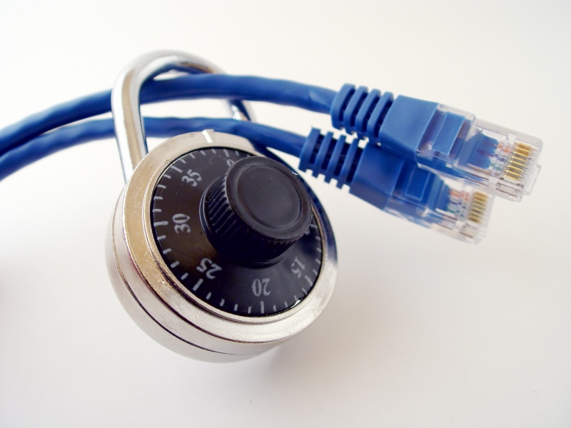 Limited-Access Fire & Security